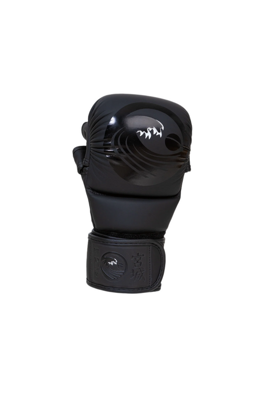 Gants de Sparring MMA